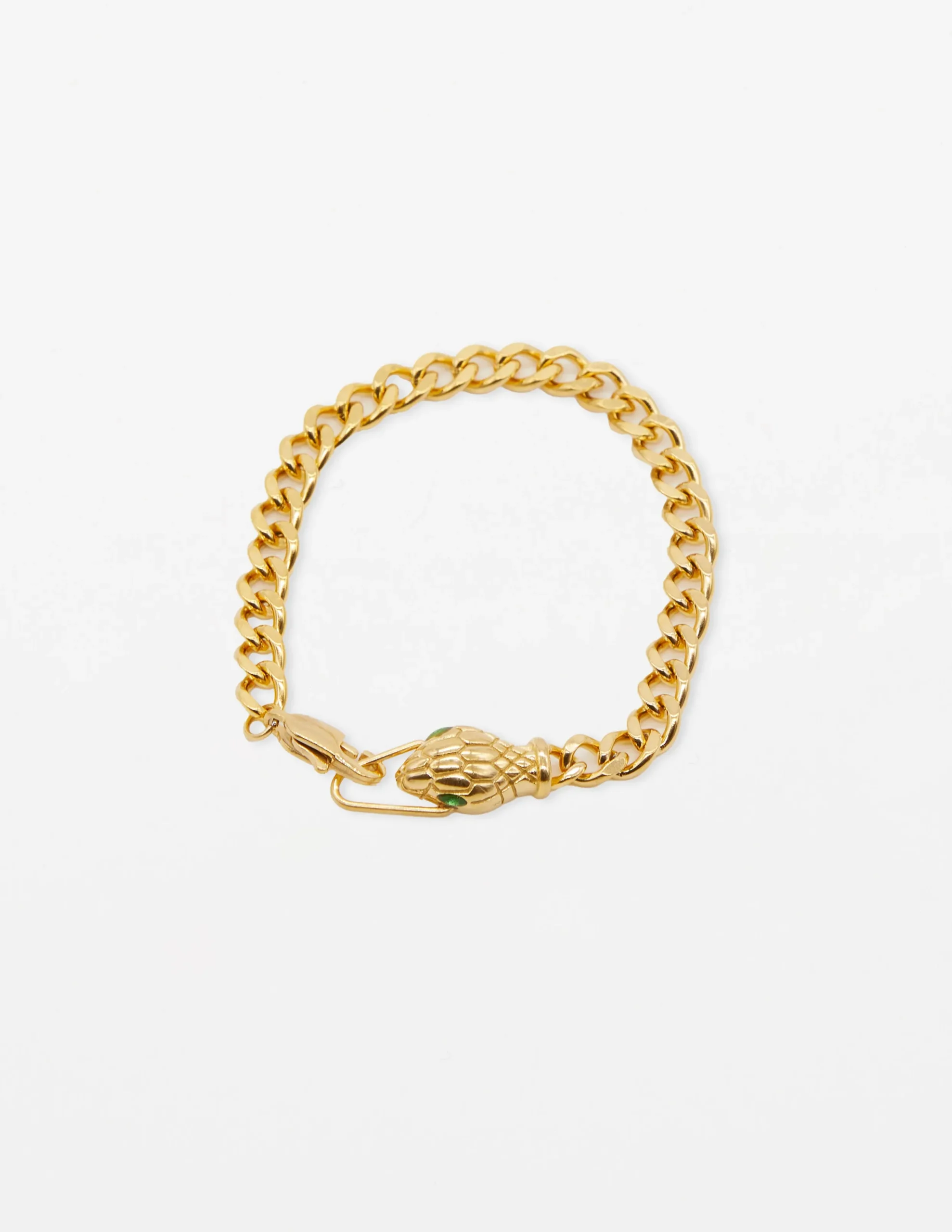 Chain Snake head