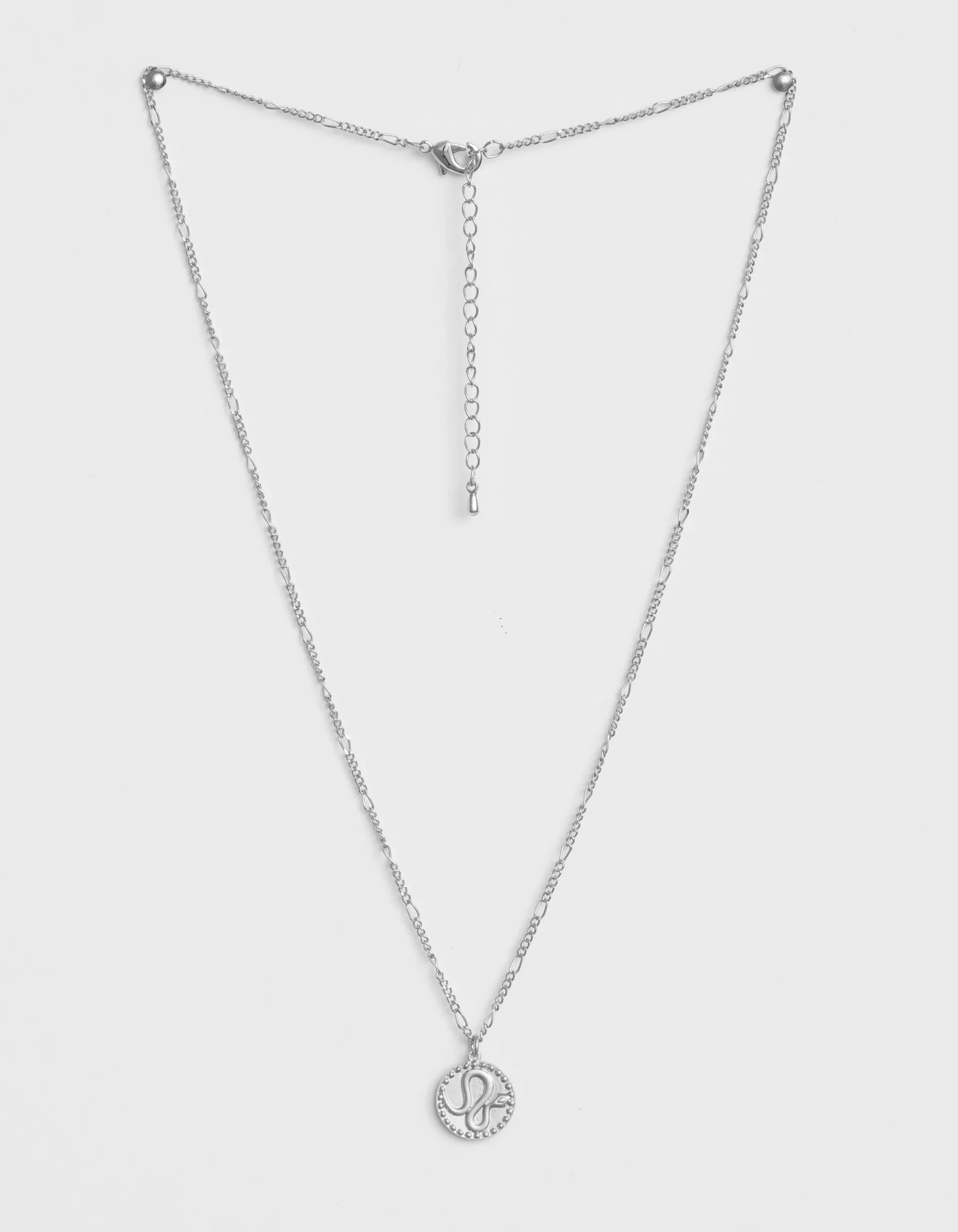 Necklace Silver Serpent Pendant